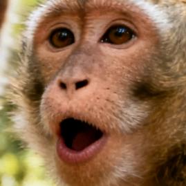 觉卫最严厉的父亲