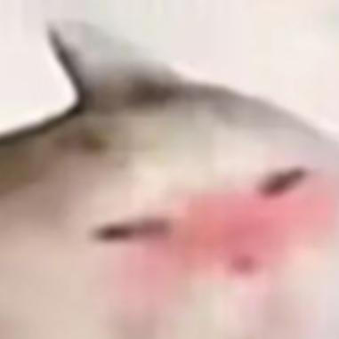 和你的小三私奔的那个雨夜