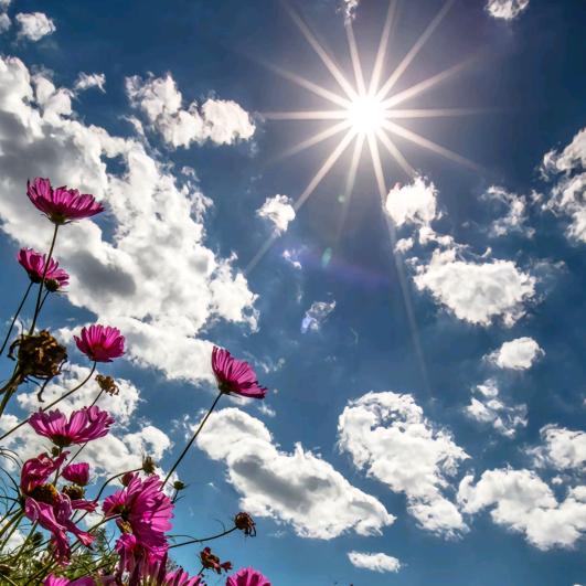 余仁的混乱思维