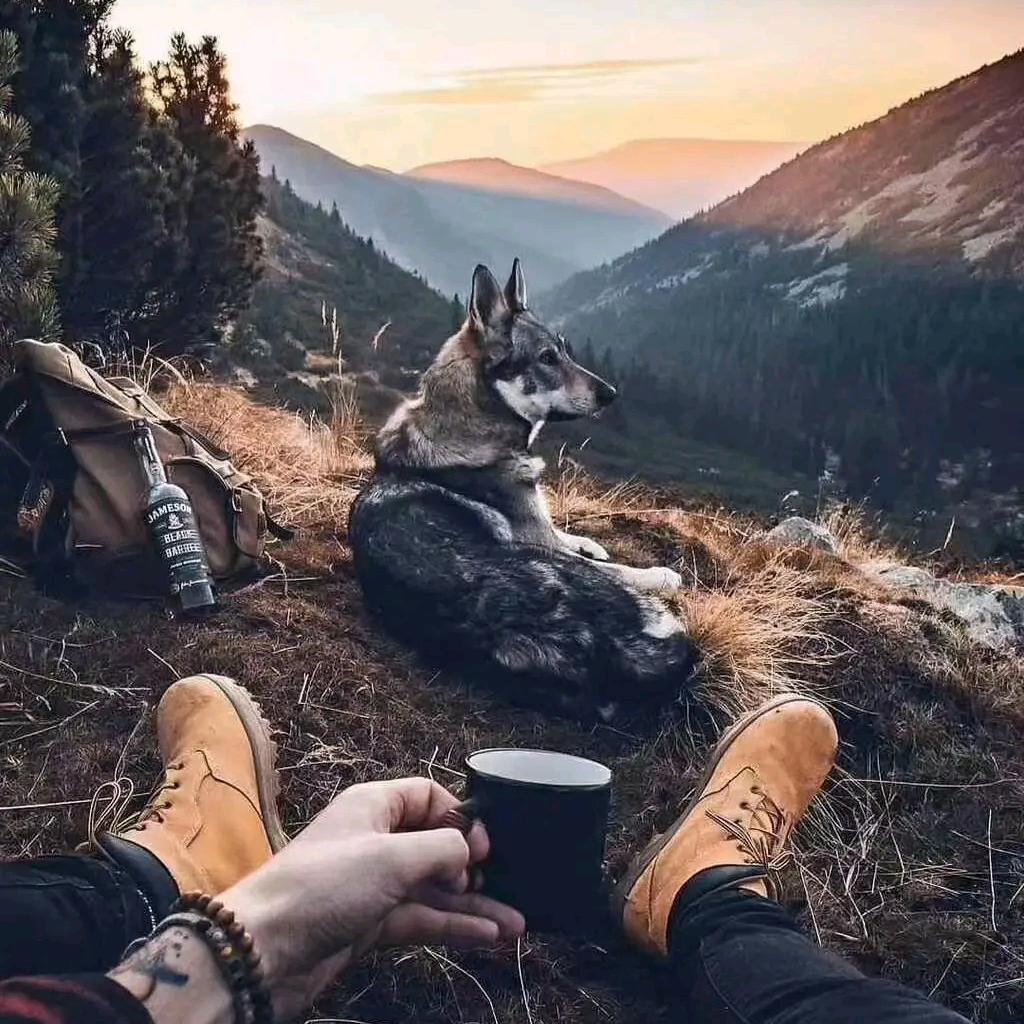 ૭😌૭