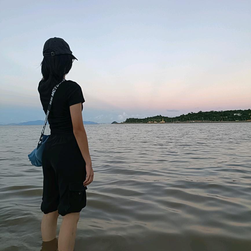 苯苯