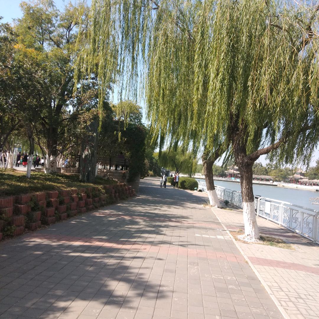 王鸿飞