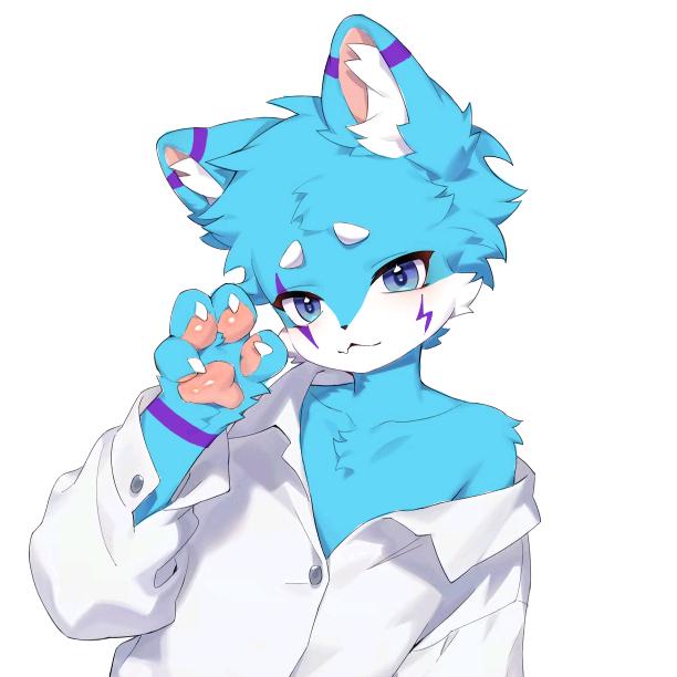 千宝泽🐾三角小猫