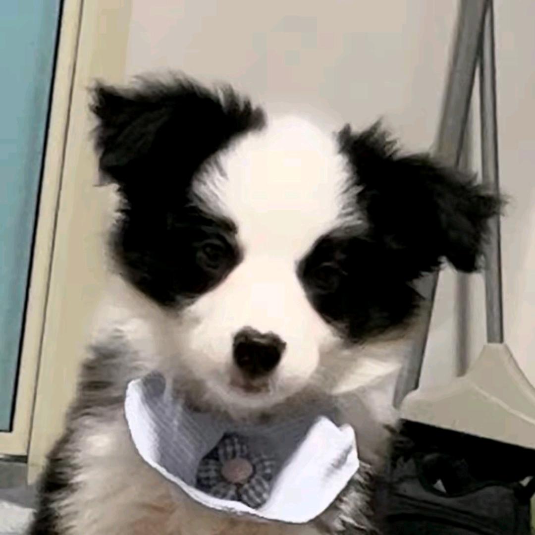 小意