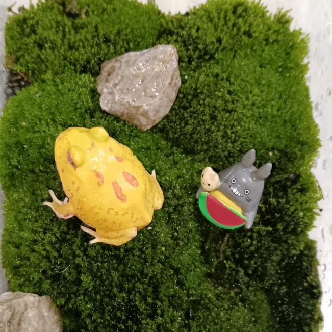 小熹