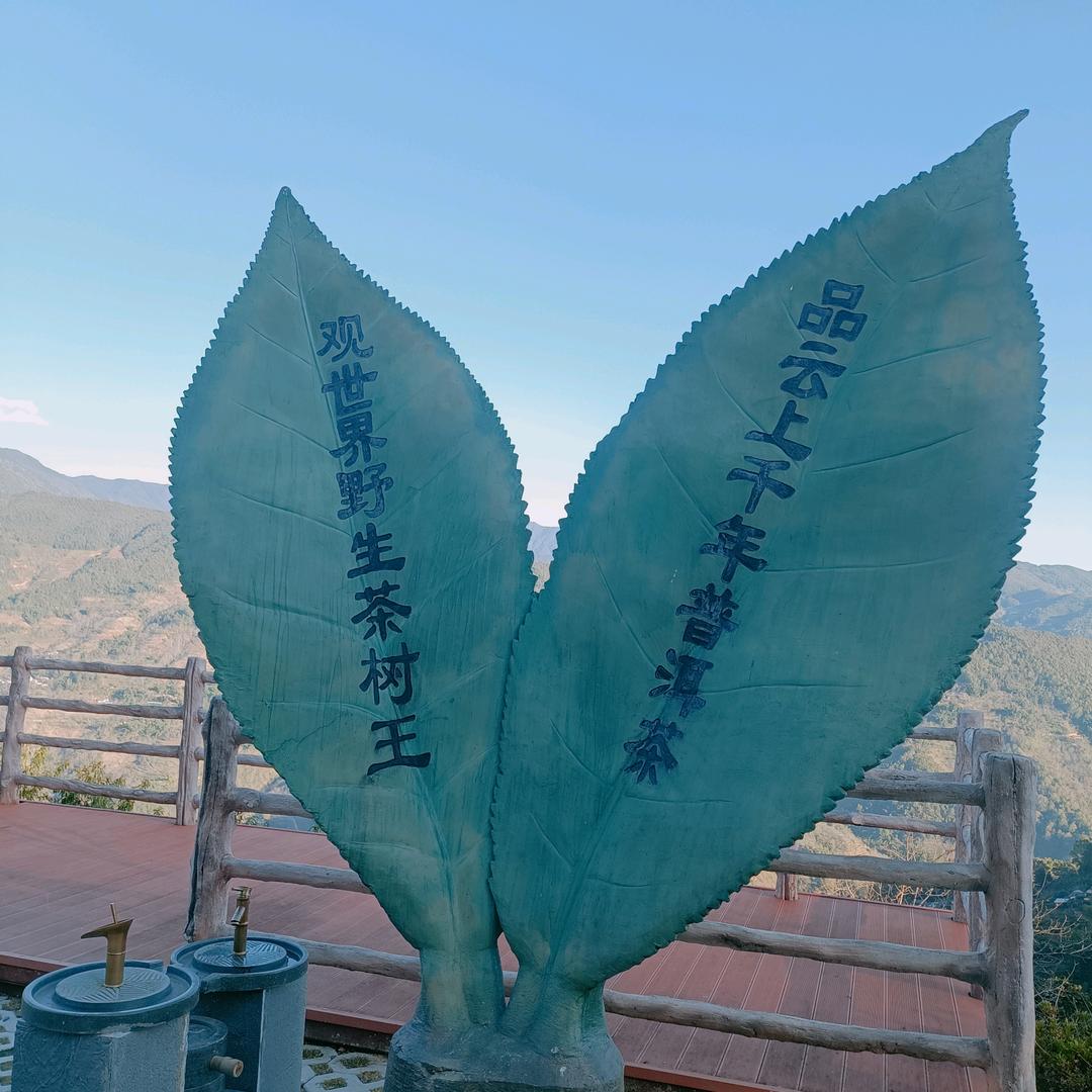 单身小哥💐💐🎈🎈
