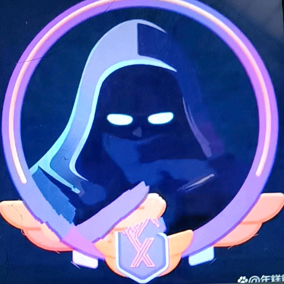 神秘人5288