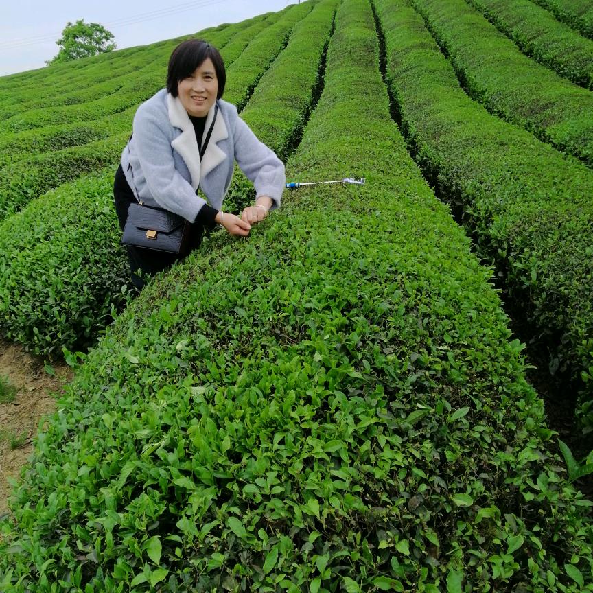 狐独的人生