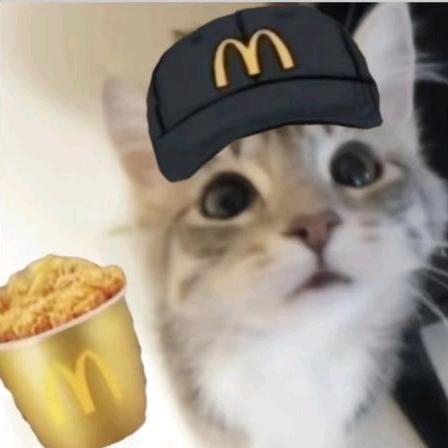 糕米羔