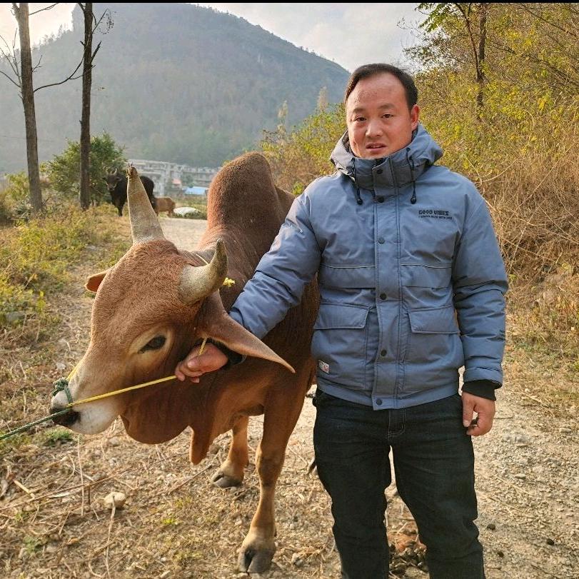 方歌