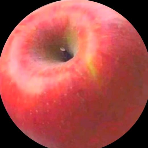 想把全世界苹果变成刺客