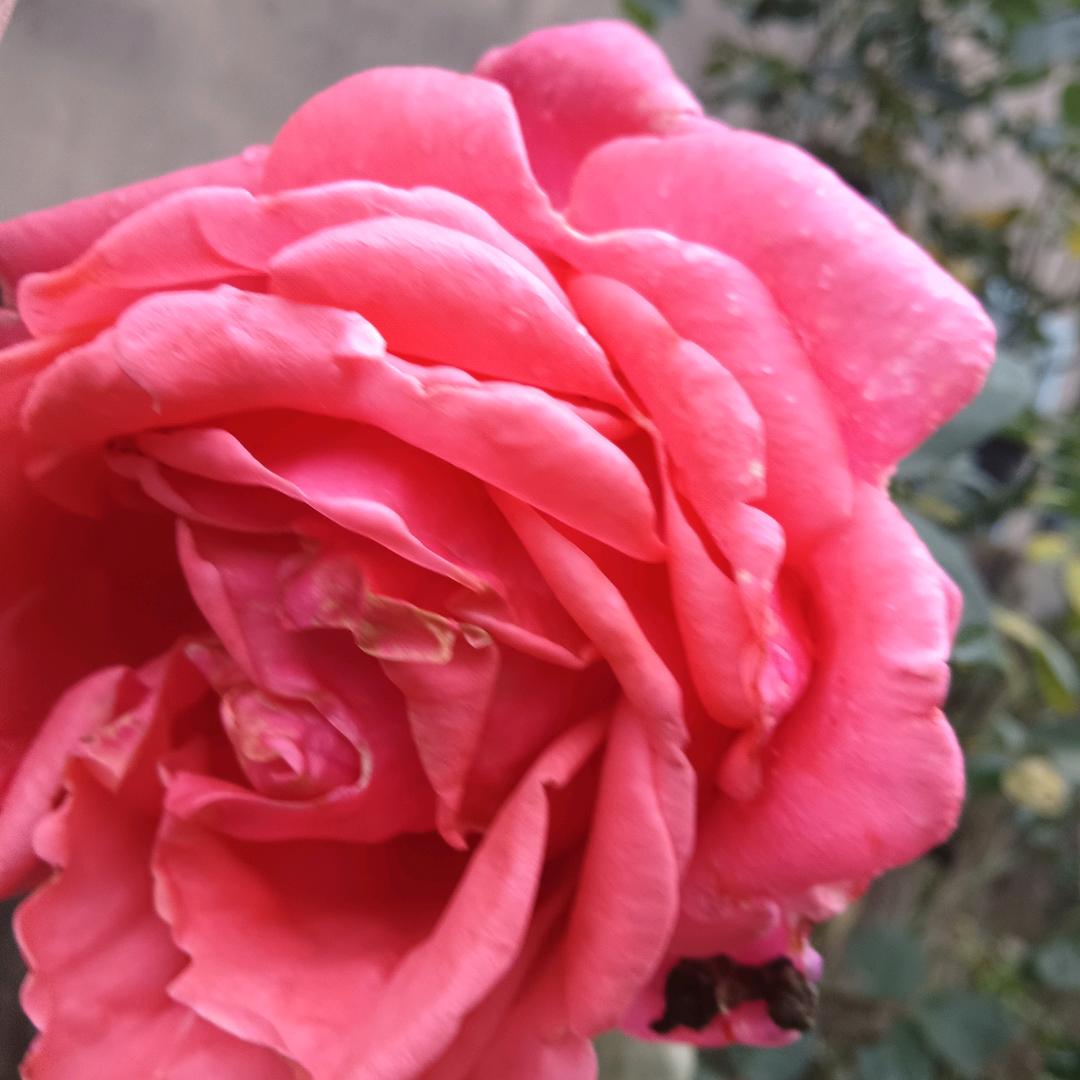 爱运动的汤姐v，