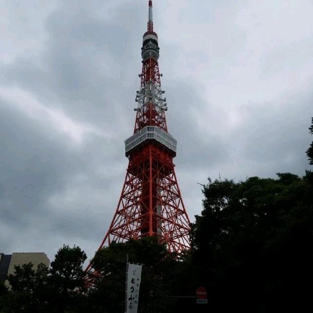 醉卧楼台空望月