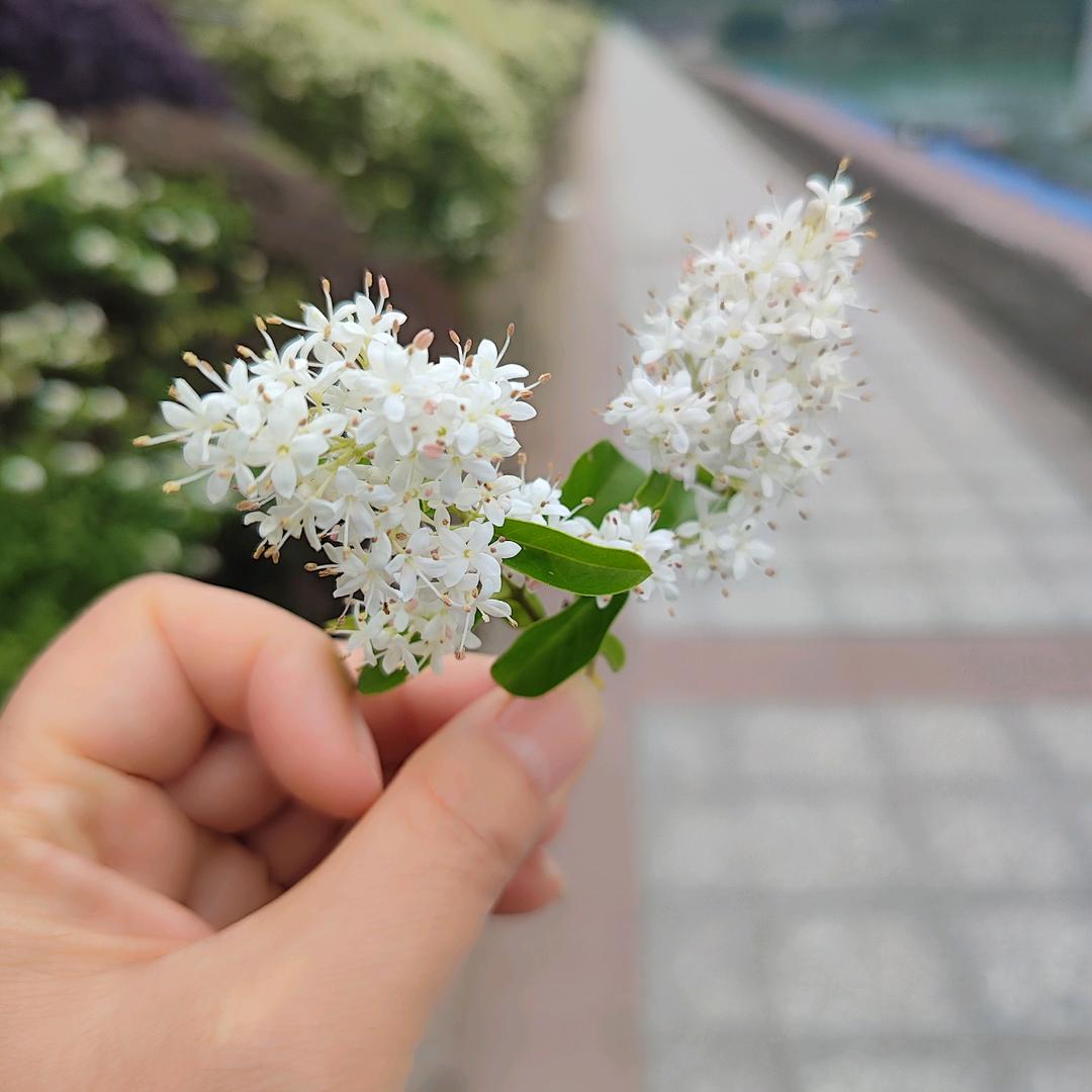 用户苦咖啡☕️