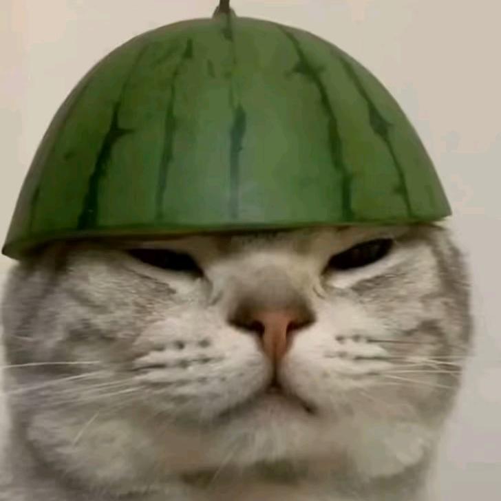 扑街仔