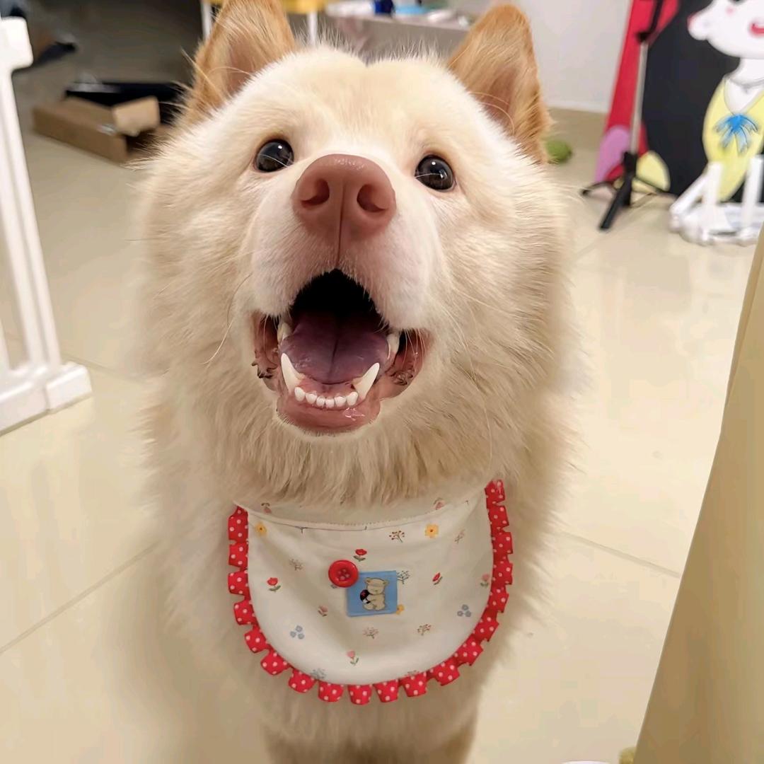 爱如火