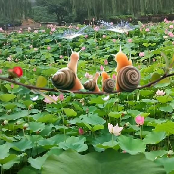 陈皮糖👑🇨🇳