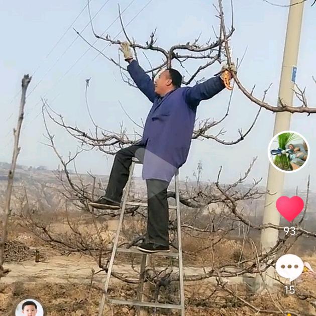 子虚