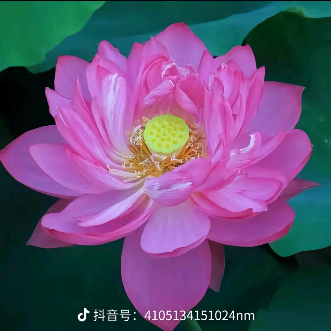 廖述凤
