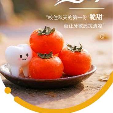 431阳阳