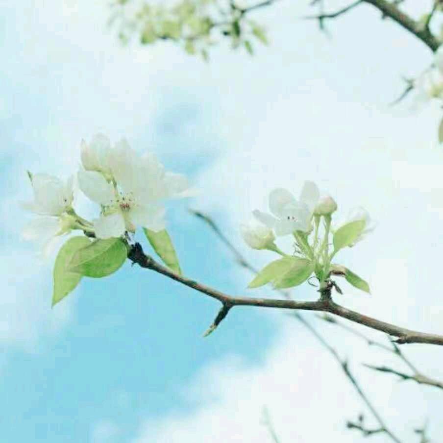 ㅤღ᭄微笑ོ 向钱ঞᩚ᭄: