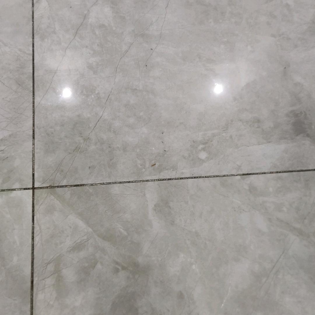 敏儿