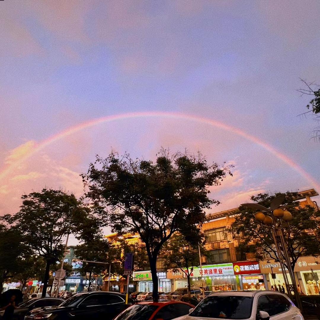 酒酿小圆子
