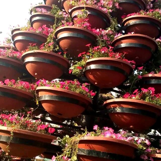 追风三节棍