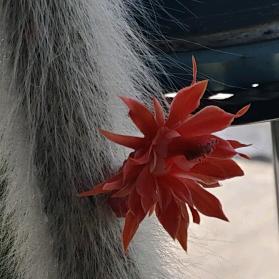 你一定要幸福