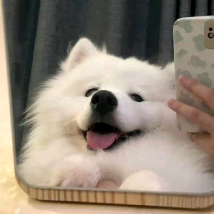 不想起床-