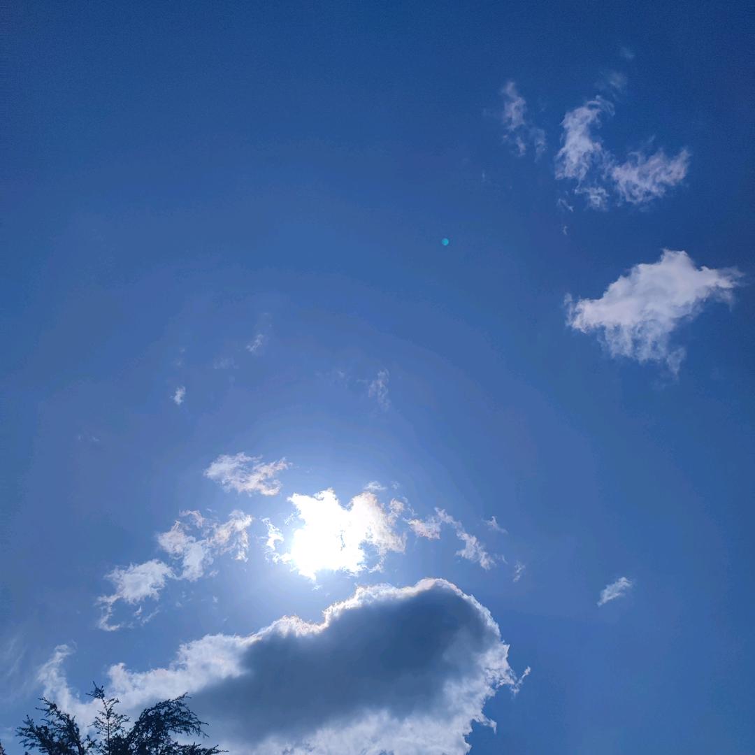 ✧ 六大博