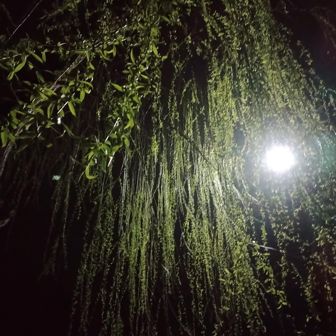 望穿秋水
