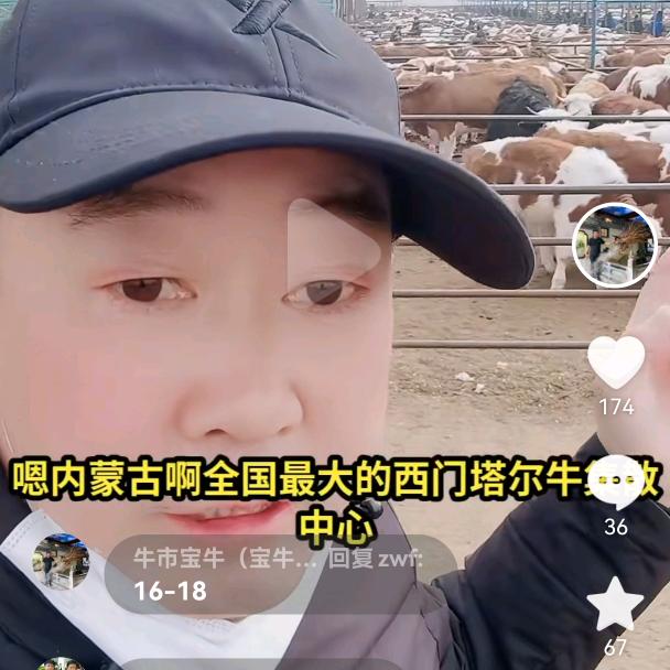 保牛哥（宝牛牧业）