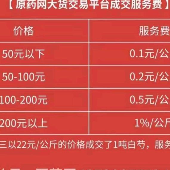 收鲜白术一年二年的鲜货