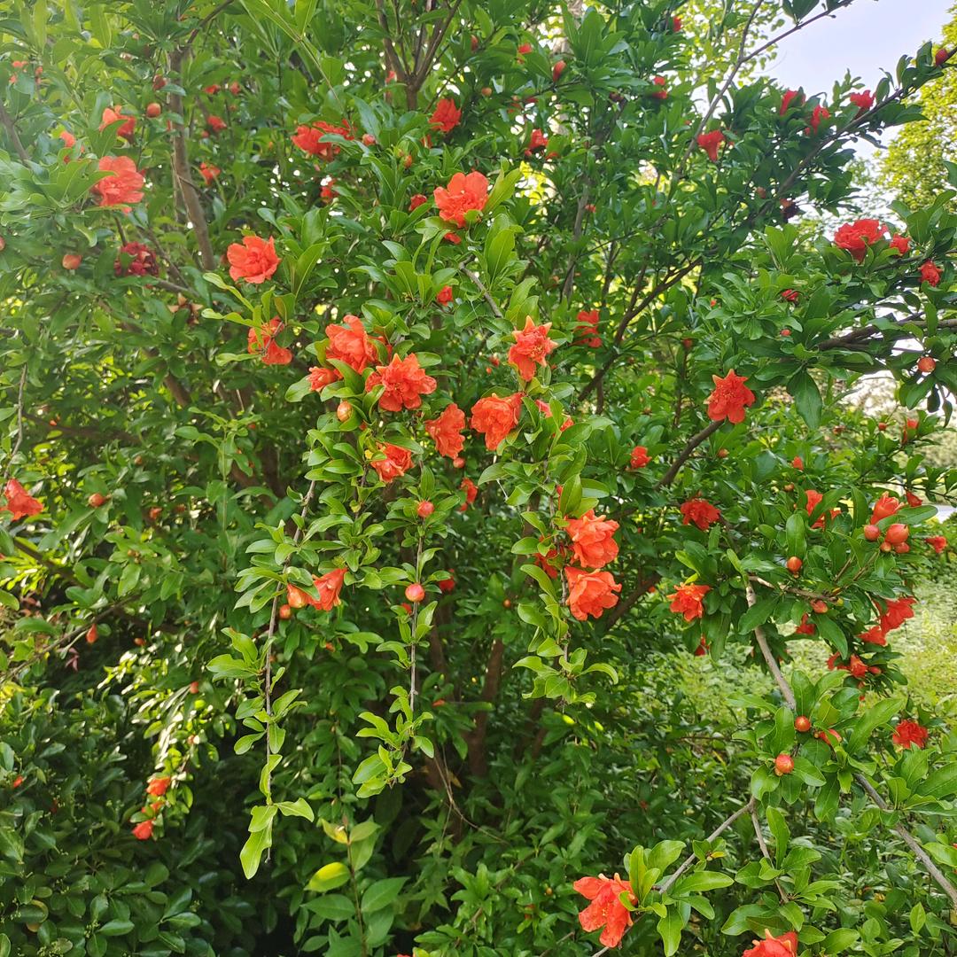 芯儿美优质企业推荐