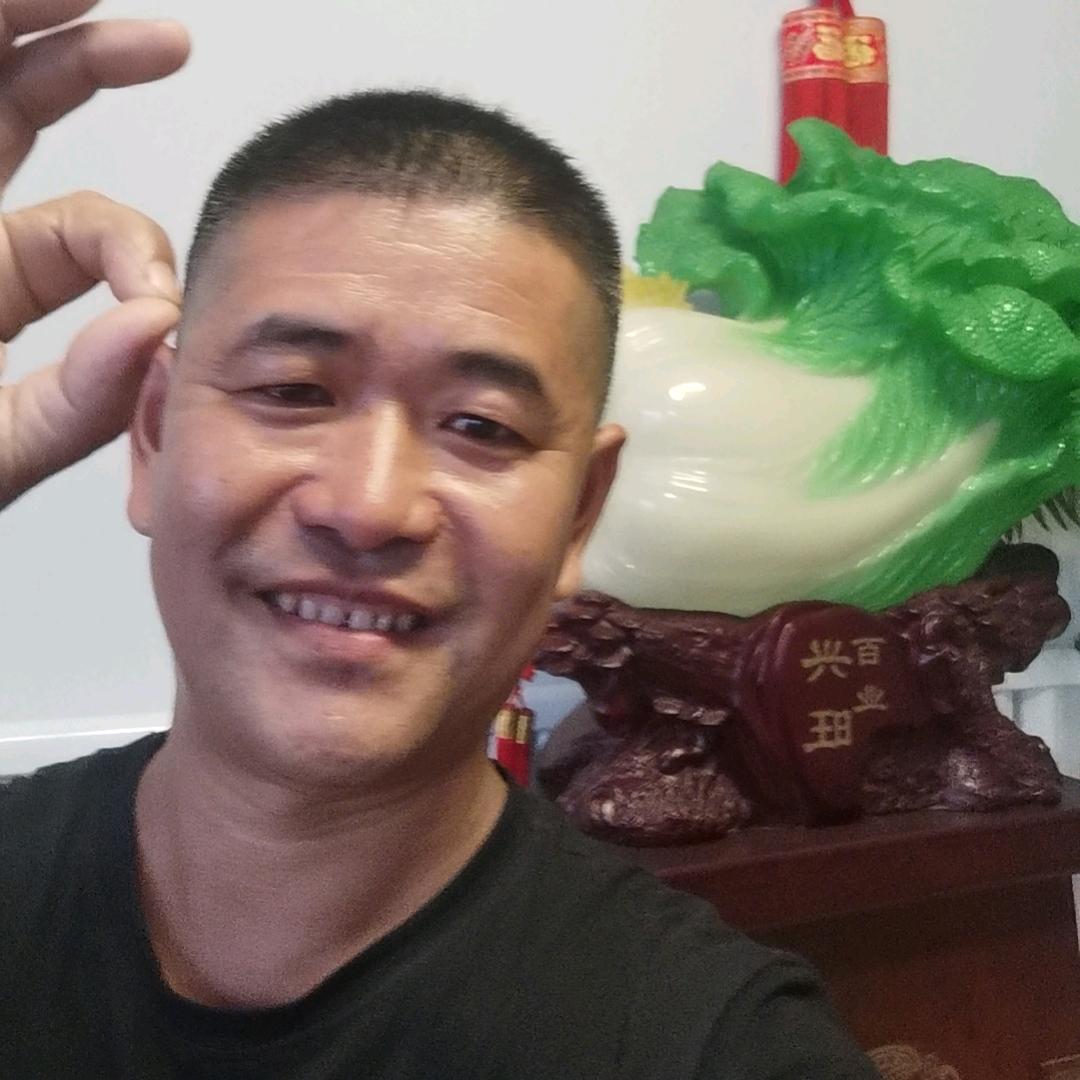 星卫苗木合作社