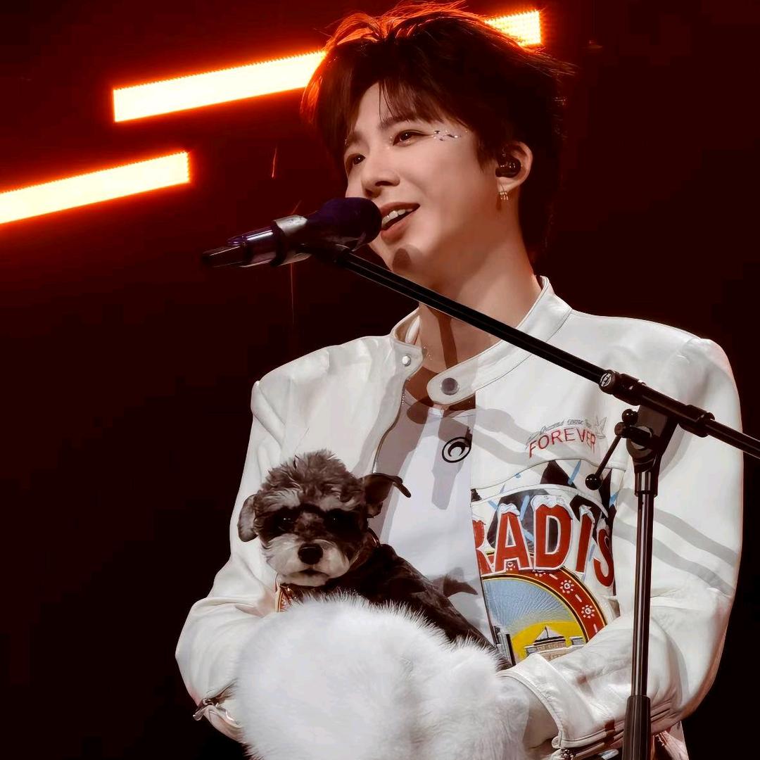 晞音ning（必上岸版）