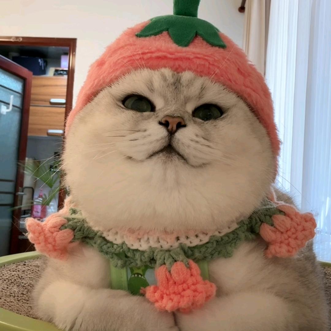 🌷sour🌲💐 flower