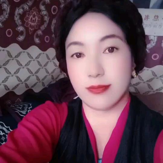 雪莲花✌️✌️✌️✌️🙏🙏🙏🙏?