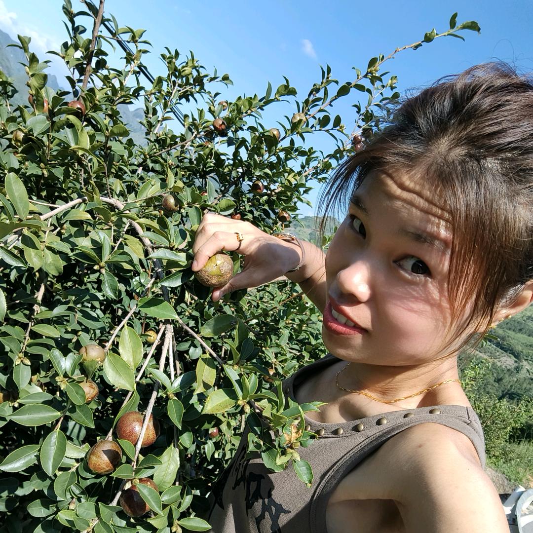 计划单身小妹