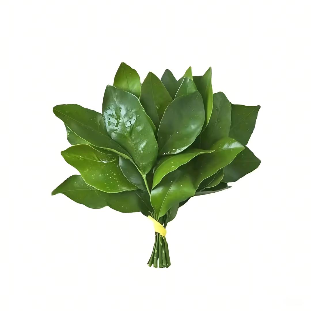 nono