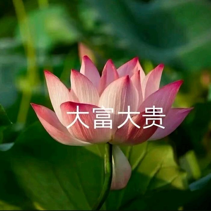 胡佑明