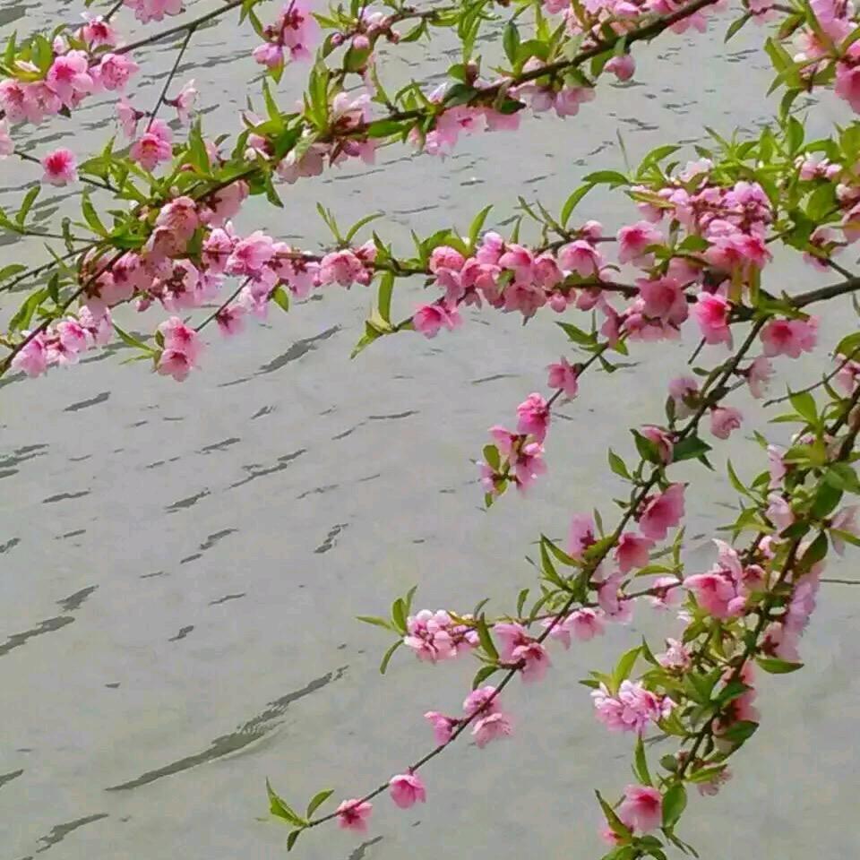 心晴