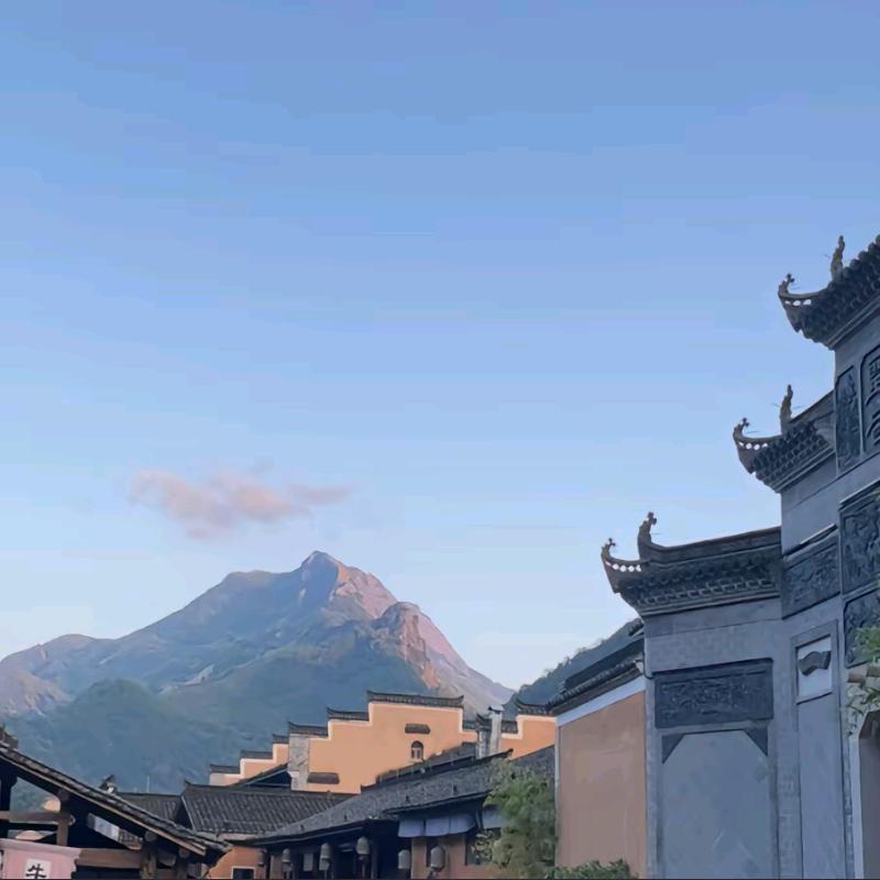 擎天柱鸭