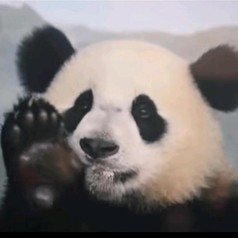万物生～