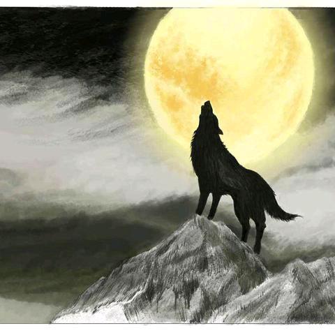 “心向阳无谓伤”