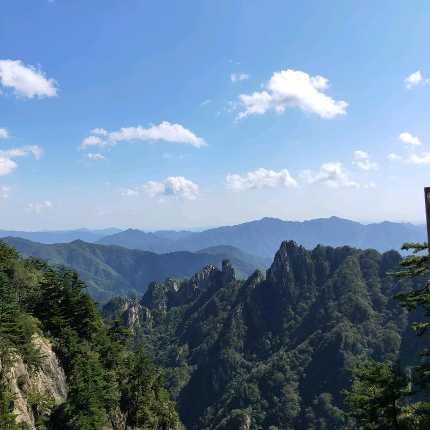 小马同学