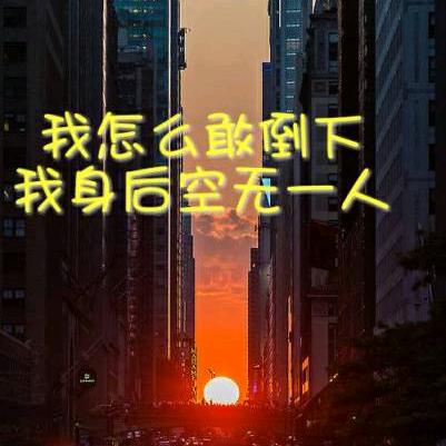 书生。