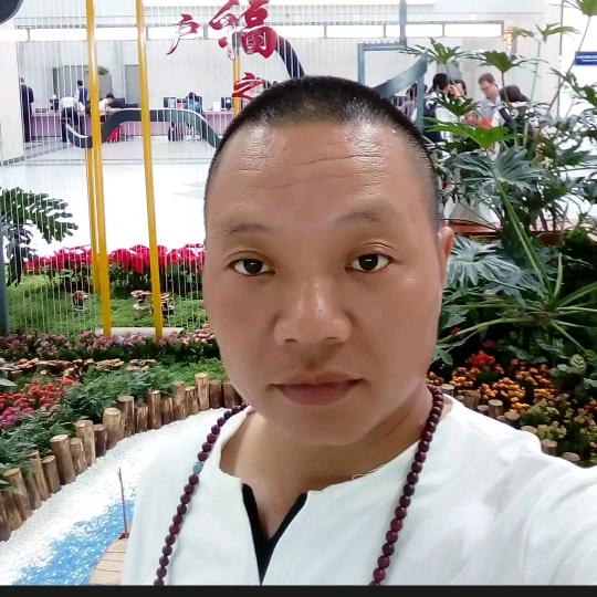 中原健康一把火