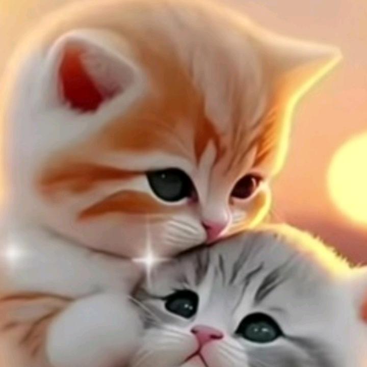 千山万岁.❤❤❤❤